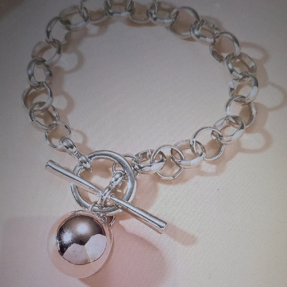 Metalic Silver Charm Bracelet